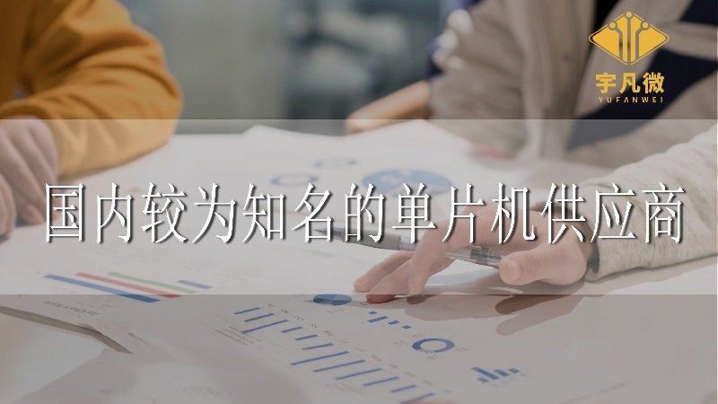國內(nèi)較為知名的單片機(jī)供應(yīng)商